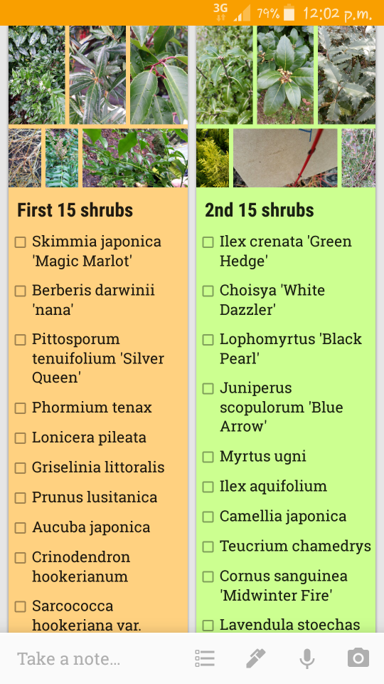 Botanical Latin Names 74