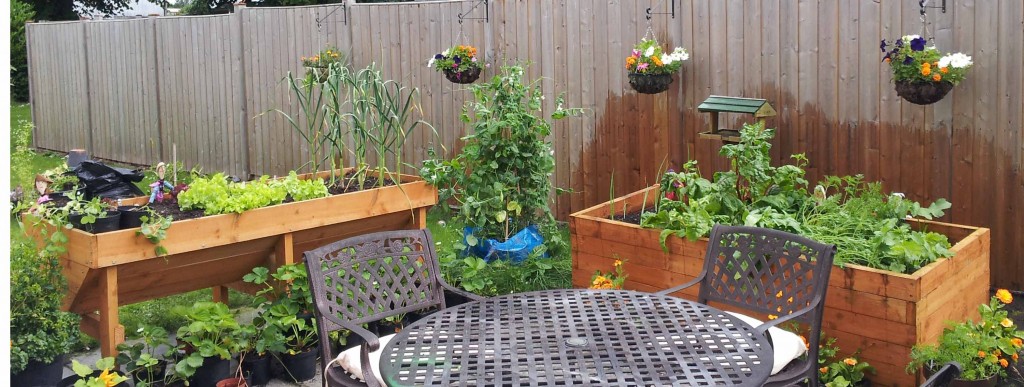 How to Grow Vegetables in ContainersGreenside Up
