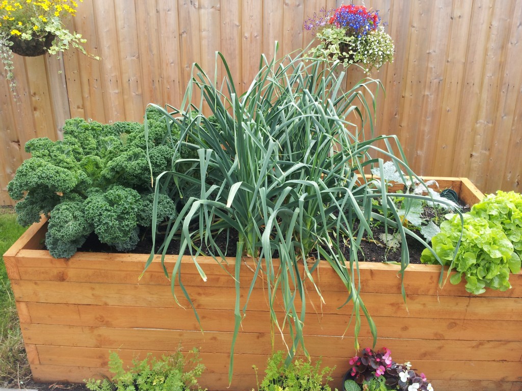 14 vegetables to grow in a small gardengreenside up