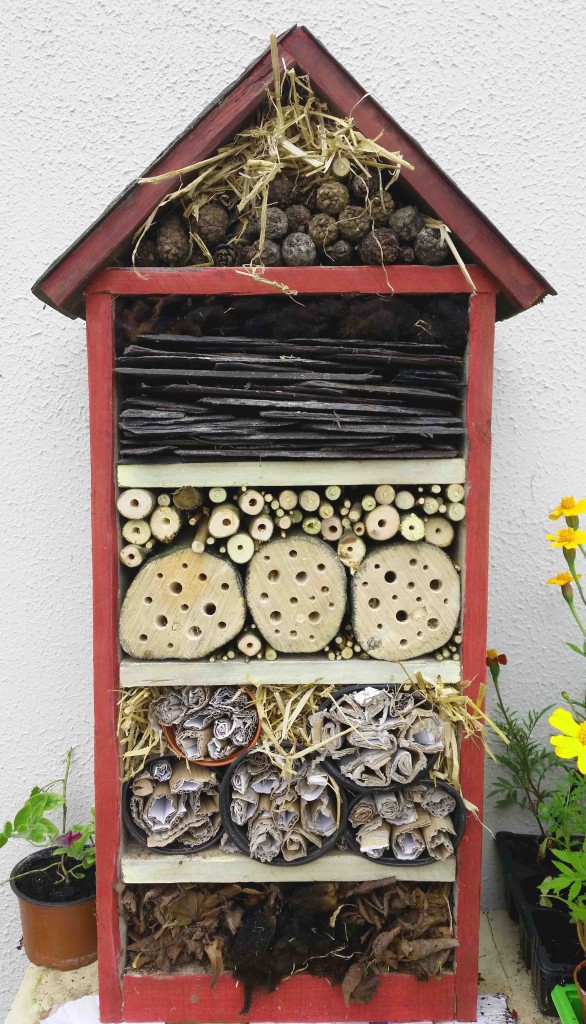 3 Reasons Why We Need to Build More Bug Hotels